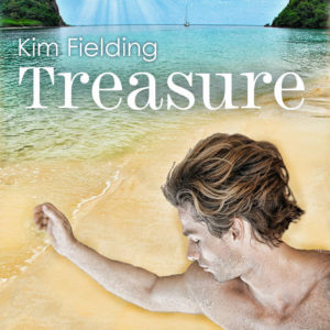 treasure cover fixed